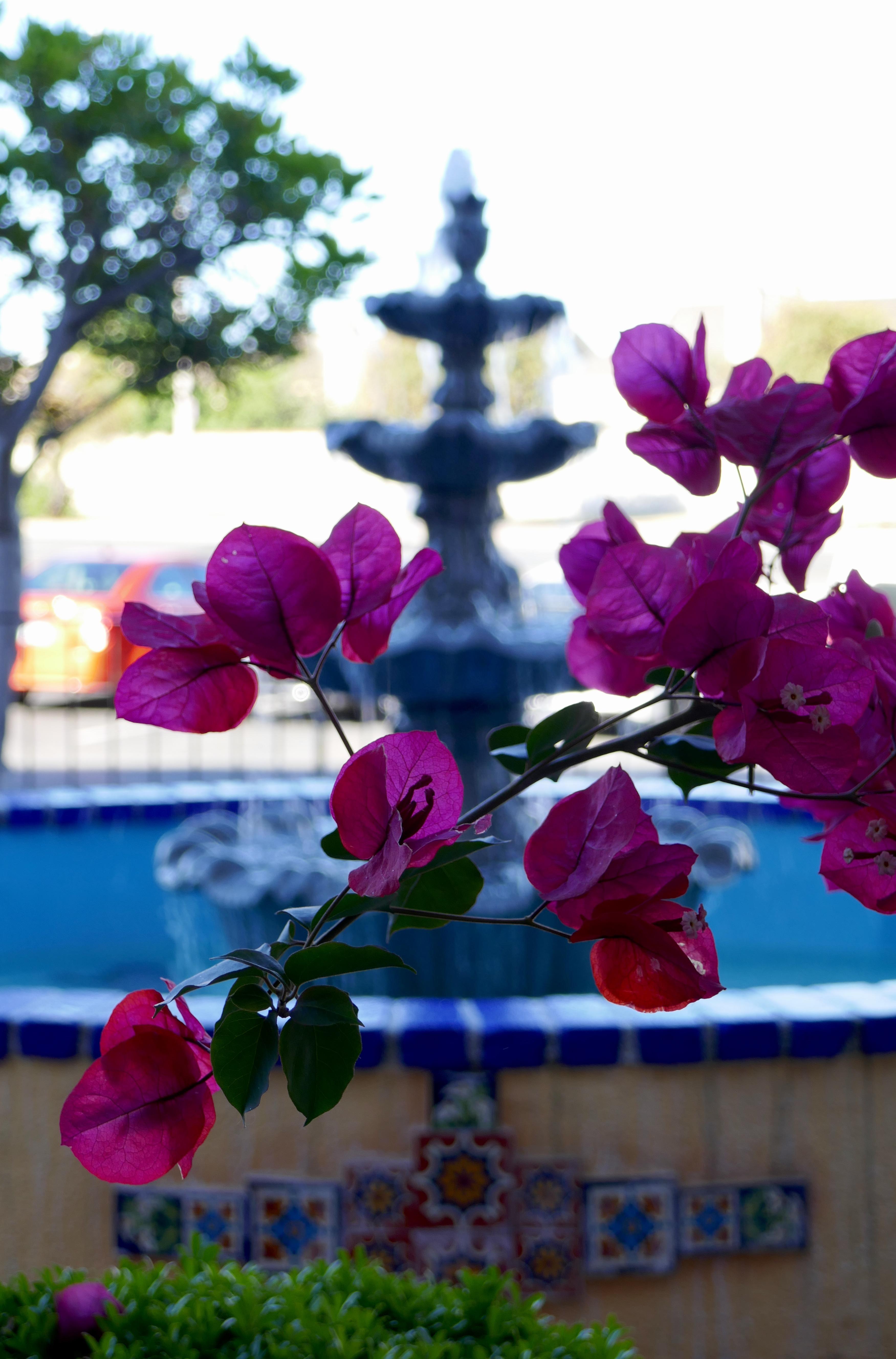 Best Western Golden Sails Hotel Long Beach Exteriér fotografie
