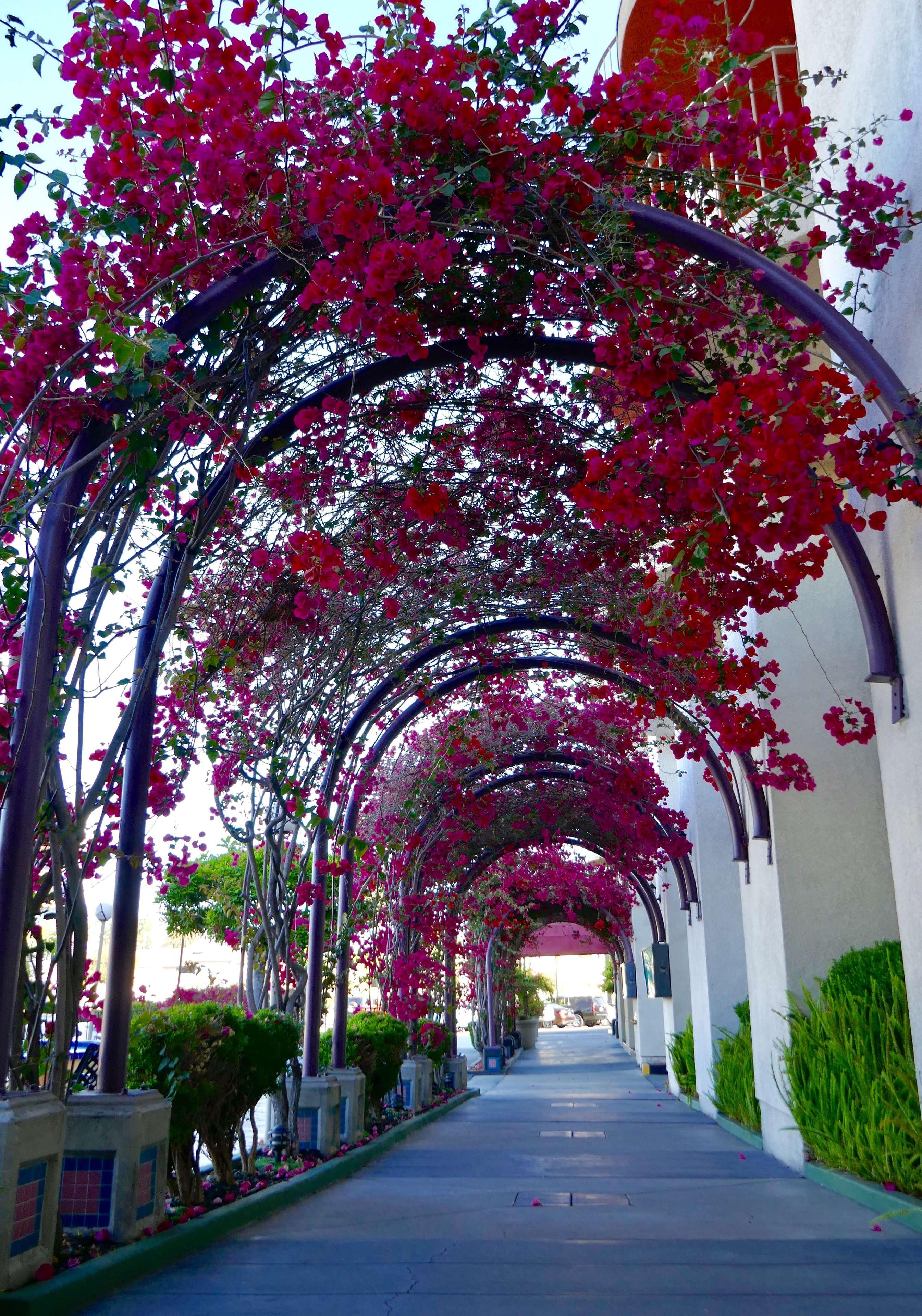 Best Western Golden Sails Hotel Long Beach Exteriér fotografie