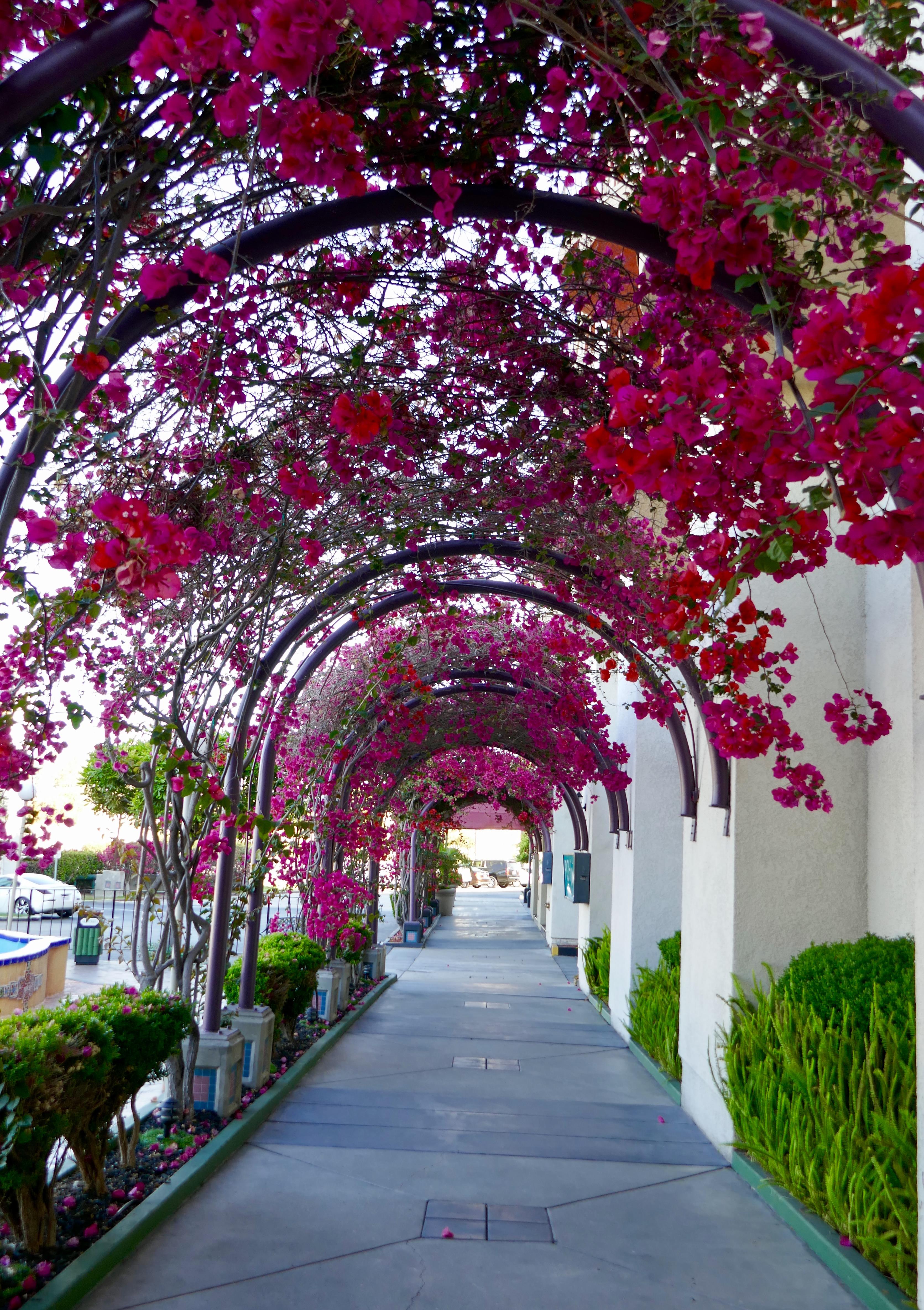 Best Western Golden Sails Hotel Long Beach Exteriér fotografie